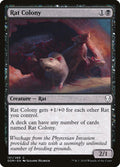Rat Colony - DOM #101
